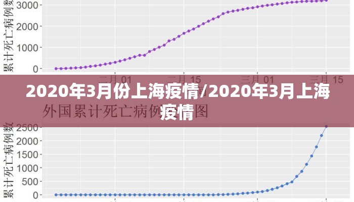 2020年3月份上海疫情/2020年3月上海疫情