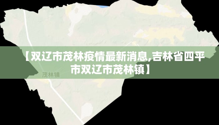 【双辽市茂林疫情最新消息,吉林省四平市双辽市茂林镇】