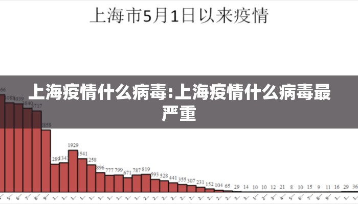 上海疫情什么病毒:上海疫情什么病毒最严重