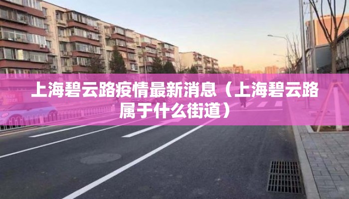 上海碧云路疫情最新消息（上海碧云路属于什么街道）