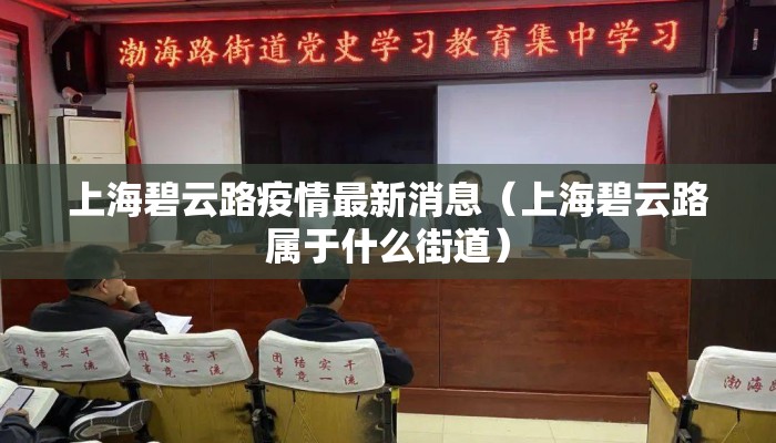 上海碧云路疫情最新消息（上海碧云路属于什么街道）