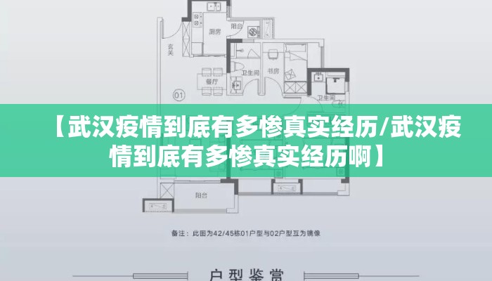 【武汉疫情到底有多惨真实经历/武汉疫情到底有多惨真实经历啊】
