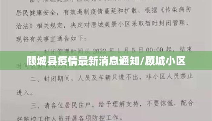 顾城县疫情最新消息通知/顾城小区