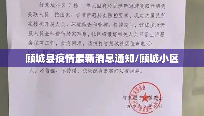 顾城县疫情最新消息通知/顾城小区
