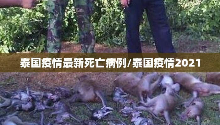 泰国疫情最新死亡病例/泰国疫情2021