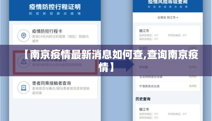 【南京疫情最新消息如何查,查询南京疫情】