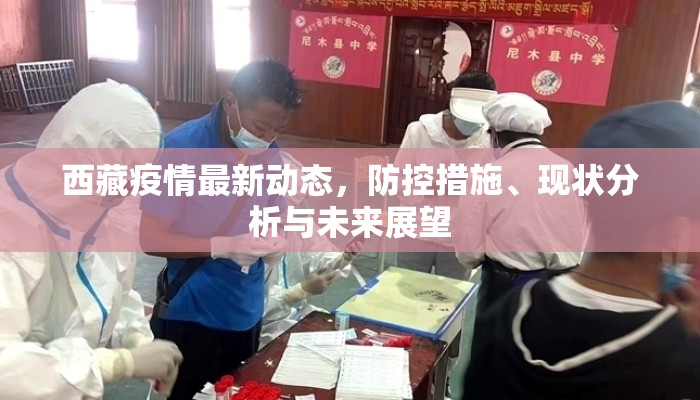 西藏疫情最新动态，防控措施、现状分析与未来展望