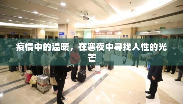 疫情中的温暖，在寒夜中寻找人性的光芒