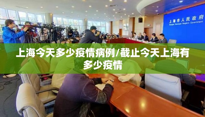 上海今天多少疫情病例/截止今天上海有多少疫情