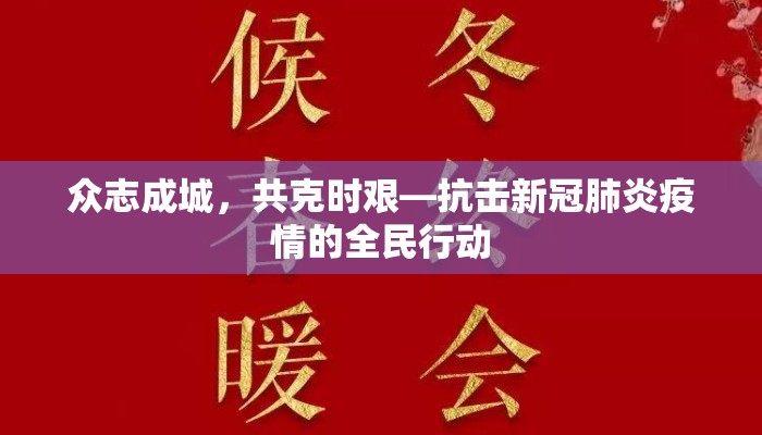 众志成城，共克时艰—抗击新冠肺炎疫情的全民行动