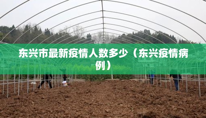 东兴市最新疫情人数多少（东兴疫情病例）