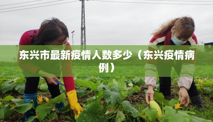 东兴市最新疫情人数多少（东兴疫情病例）
