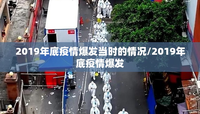 2019年底疫情爆发当时的情况/2019年底疫情爆发