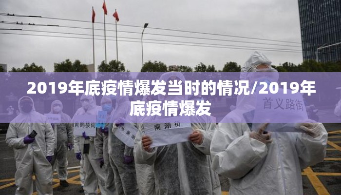 2019年底疫情爆发当时的情况/2019年底疫情爆发