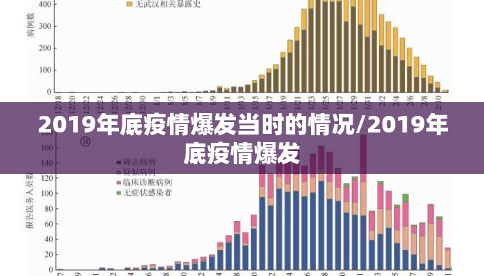 2019年底疫情爆发当时的情况/2019年底疫情爆发