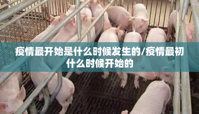 疫情最开始是什么时候发生的/疫情最初什么时候开始的