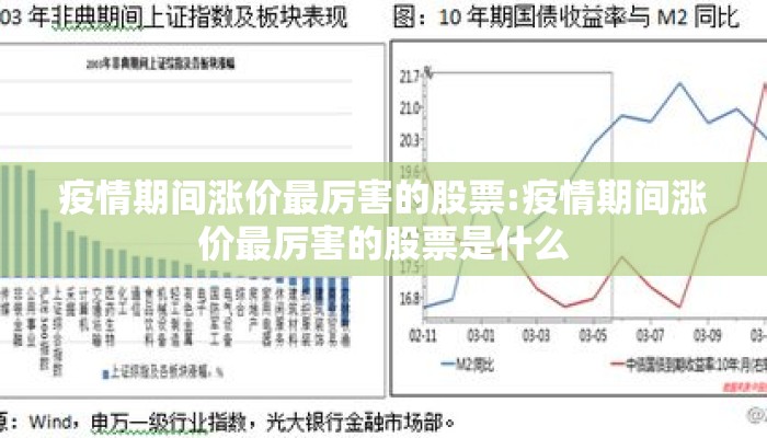 疫情期间涨价最厉害的股票:疫情期间涨价最厉害的股票是什么