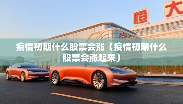 疫情初期什么股票会涨（疫情初期什么股票会涨起来）