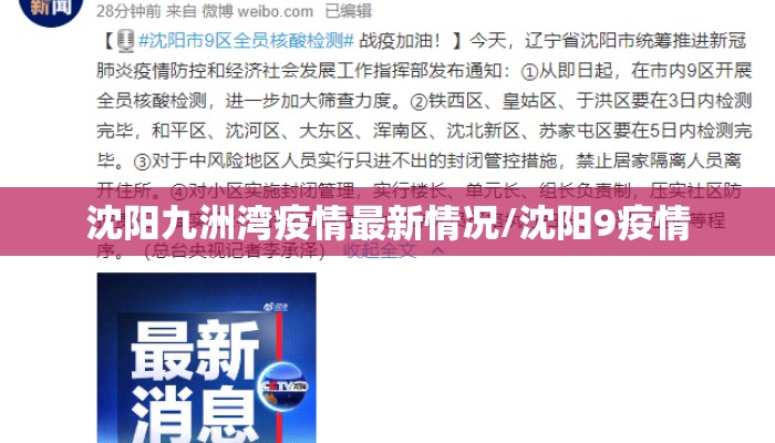 沈阳九洲湾疫情最新情况/沈阳9疫情