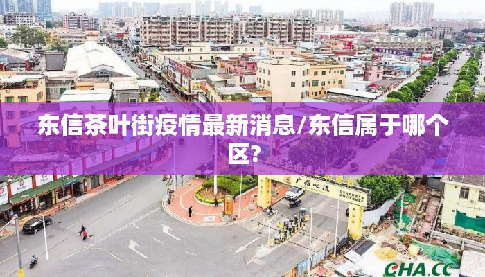 东信茶叶街疫情最新消息/东信属于哪个区?