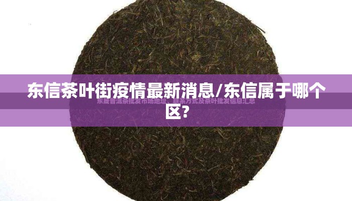 东信茶叶街疫情最新消息/东信属于哪个区?