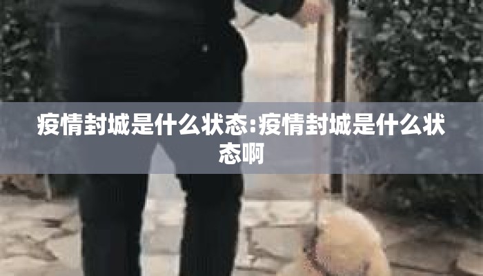 疫情封城是什么状态:疫情封城是什么状态啊
