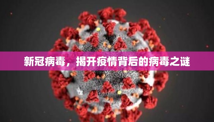 新冠病毒，揭开疫情背后的病毒之谜
