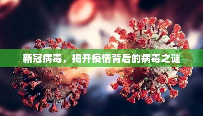 新冠病毒，揭开疫情背后的病毒之谜