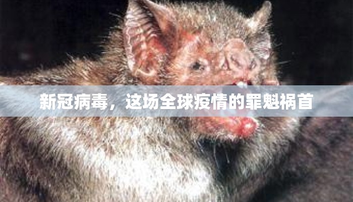 新冠病毒，这场全球疫情的罪魁祸首