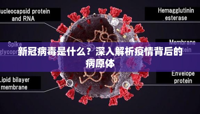 新冠病毒是什么？深入解析疫情背后的病原体