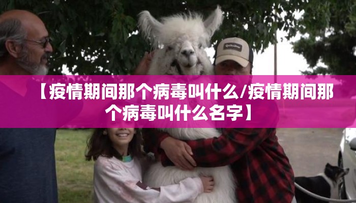 【疫情期间那个病毒叫什么/疫情期间那个病毒叫什么名字】