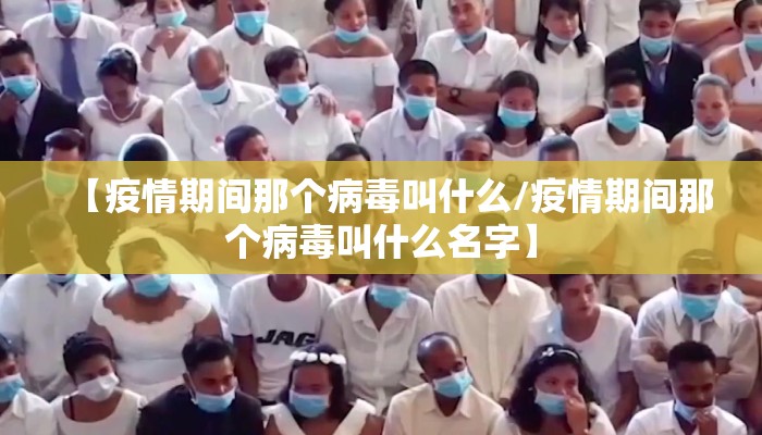 【疫情期间那个病毒叫什么/疫情期间那个病毒叫什么名字】
