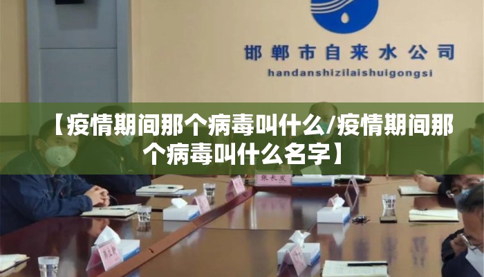 【疫情期间那个病毒叫什么/疫情期间那个病毒叫什么名字】