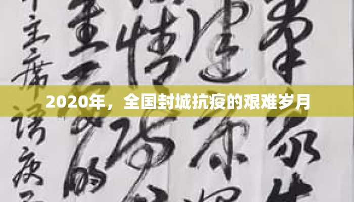 2020年，全国封城抗疫的艰难岁月