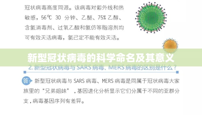 新型冠状病毒的科学命名及其意义