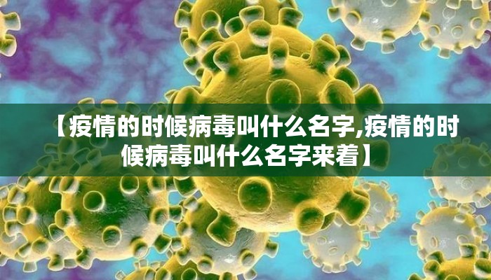 【疫情的时候病毒叫什么名字,疫情的时候病毒叫什么名字来着】