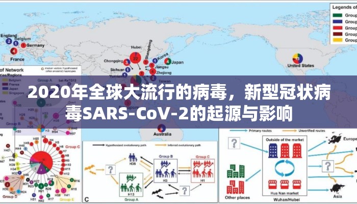 2020年全球大流行的病毒，新型冠状病毒SARS-CoV-2的起源与影响