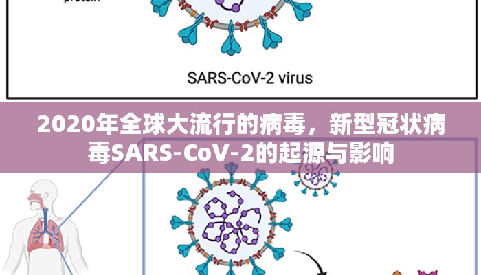 2020年全球大流行的病毒，新型冠状病毒SARS-CoV-2的起源与影响