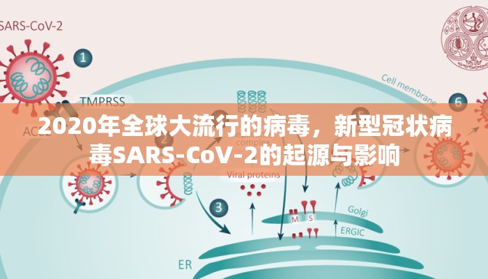 2020年全球大流行的病毒，新型冠状病毒SARS-CoV-2的起源与影响