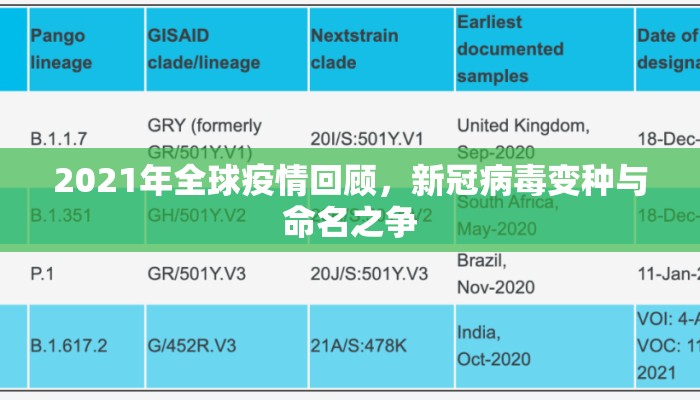 2021年全球疫情回顾，新冠病毒变种与命名之争