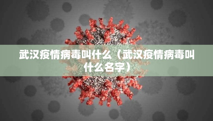 武汉疫情病毒叫什么（武汉疫情病毒叫什么名字）