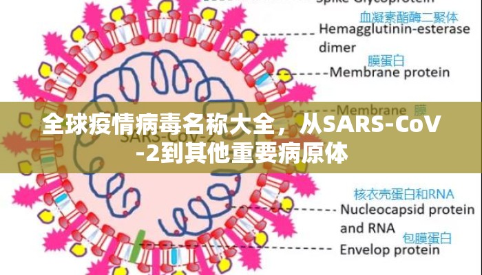 全球疫情病毒名称大全，从SARS-CoV-2到其他重要病原体