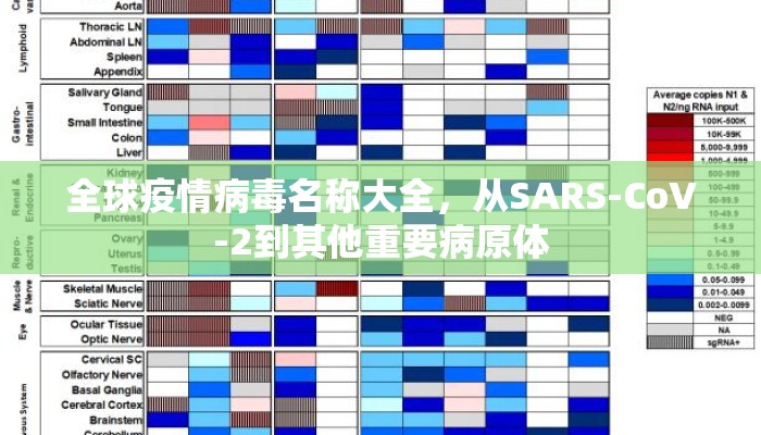 全球疫情病毒名称大全，从SARS-CoV-2到其他重要病原体