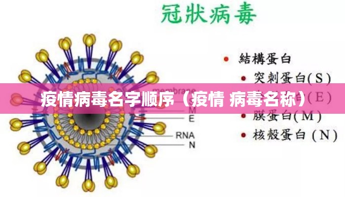 疫情病毒名字顺序（疫情 病毒名称）