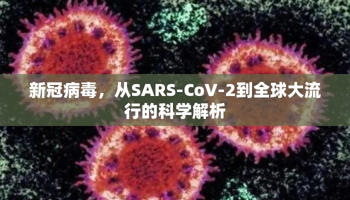 新冠病毒，从SARS-CoV-2到全球大流行的科学解析