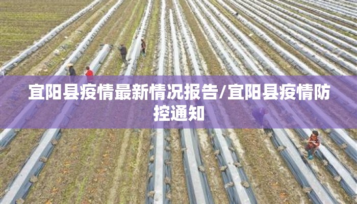 宜阳县疫情最新情况报告/宜阳县疫情防控通知