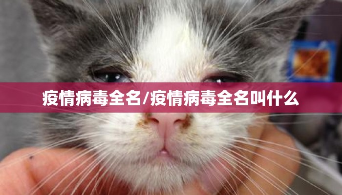 疫情病毒全名/疫情病毒全名叫什么