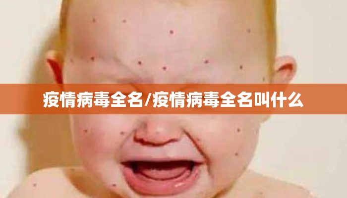 疫情病毒全名/疫情病毒全名叫什么