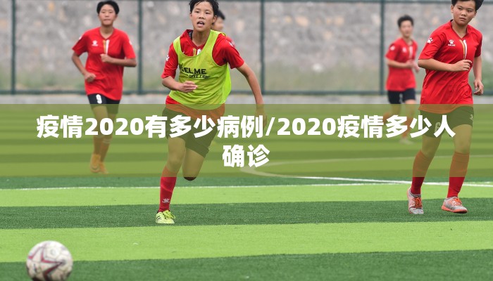 疫情2020有多少病例/2020疫情多少人确诊