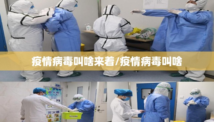 疫情病毒叫啥来着/疫情病毒叫啥